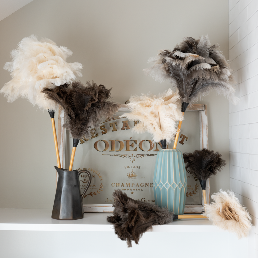 Feather Duster