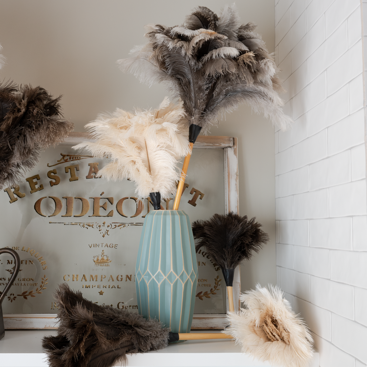 Feather Duster