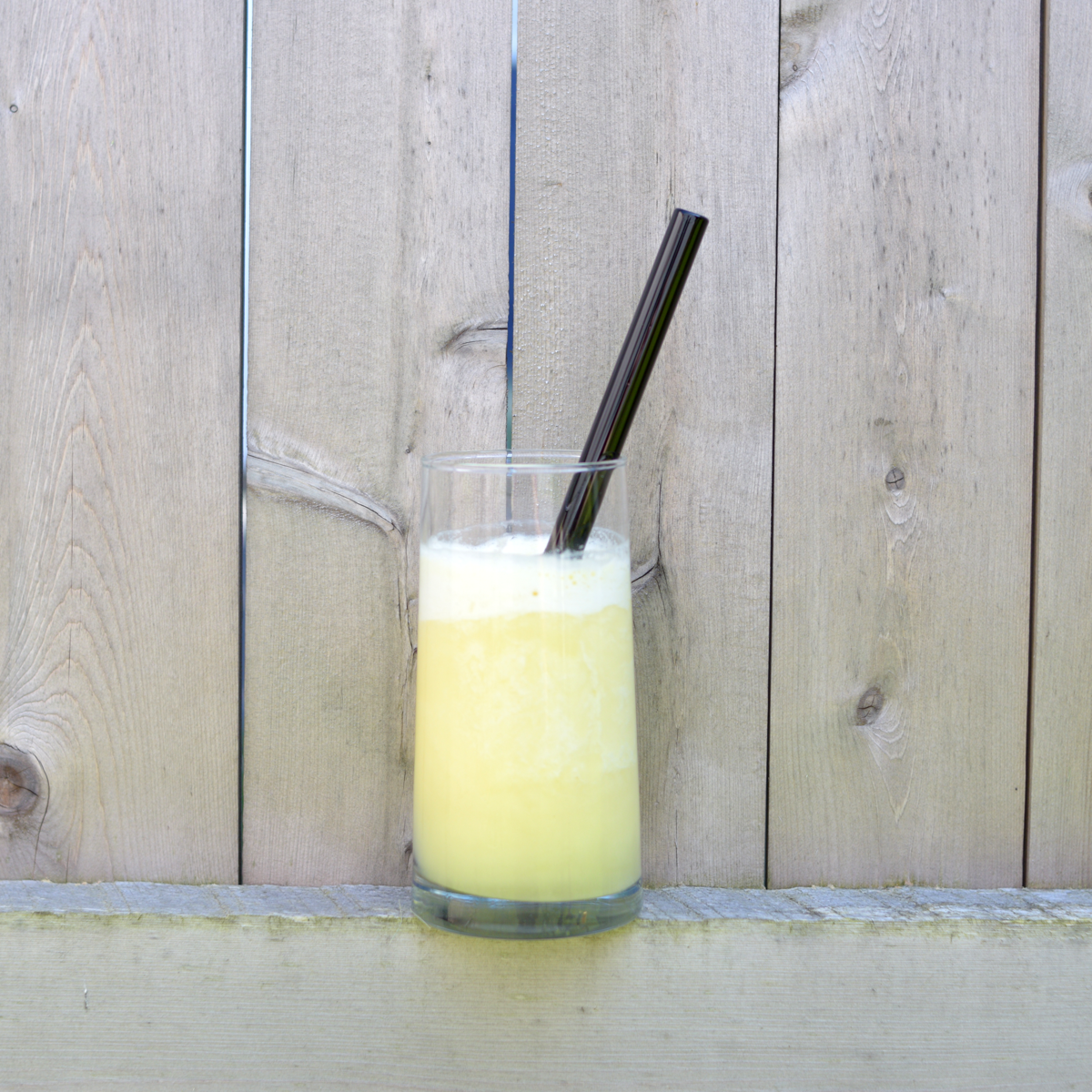 Glass Straw 9" - Earth & Nest