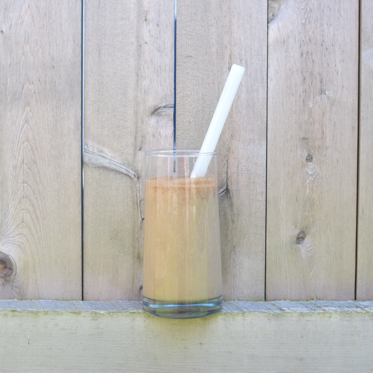 Glass Straw 9" - Earth & Nest