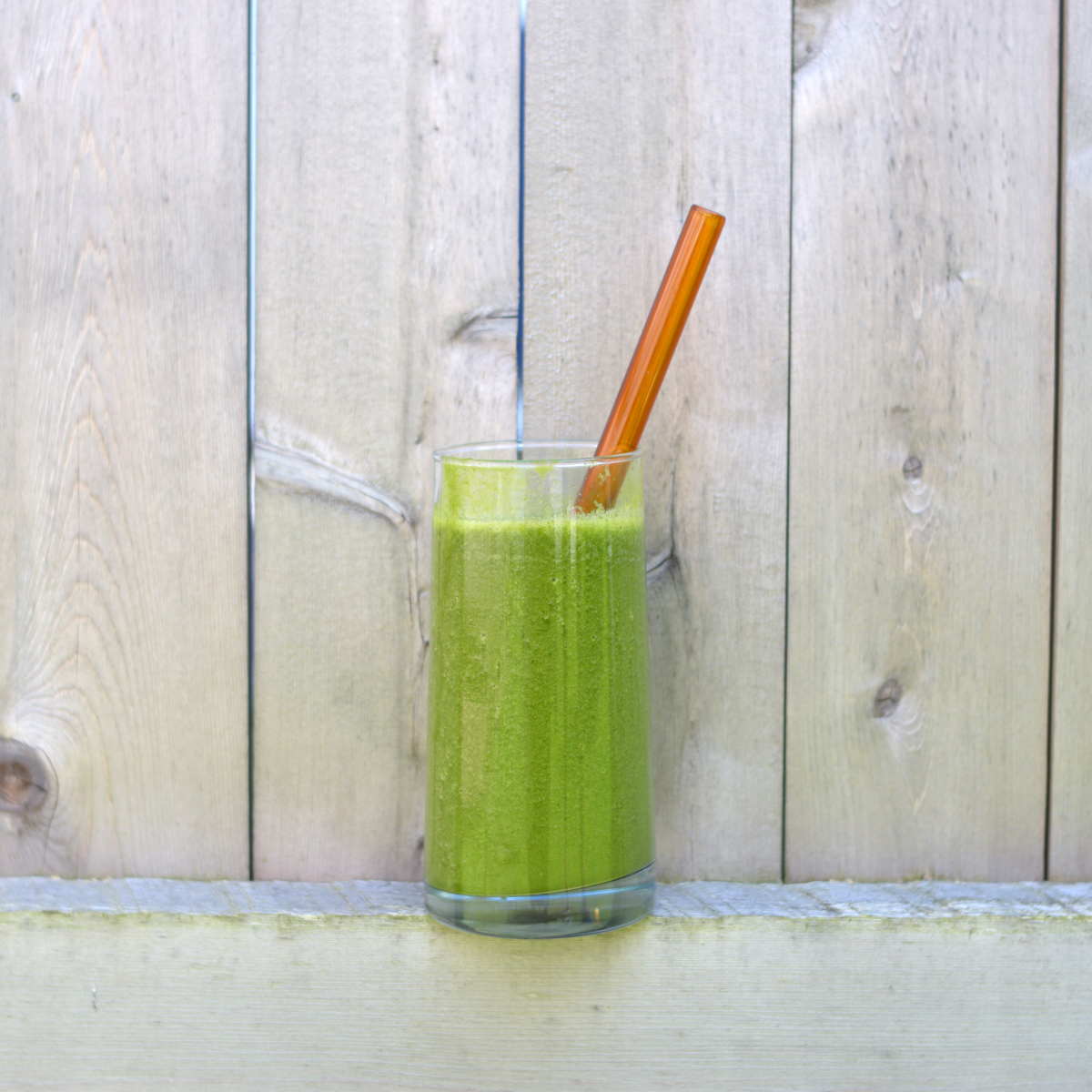 Glass Straw 9" - Earth & Nest