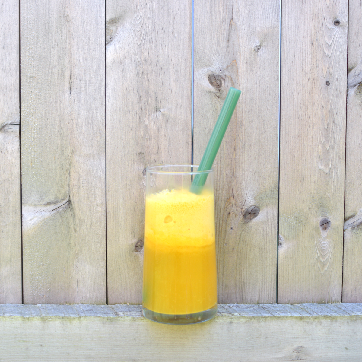 Glass Straw 9" - Earth & Nest