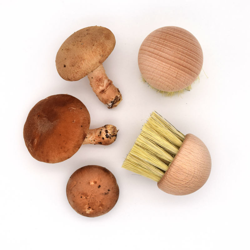 MushroomBrush-Earth_Nest