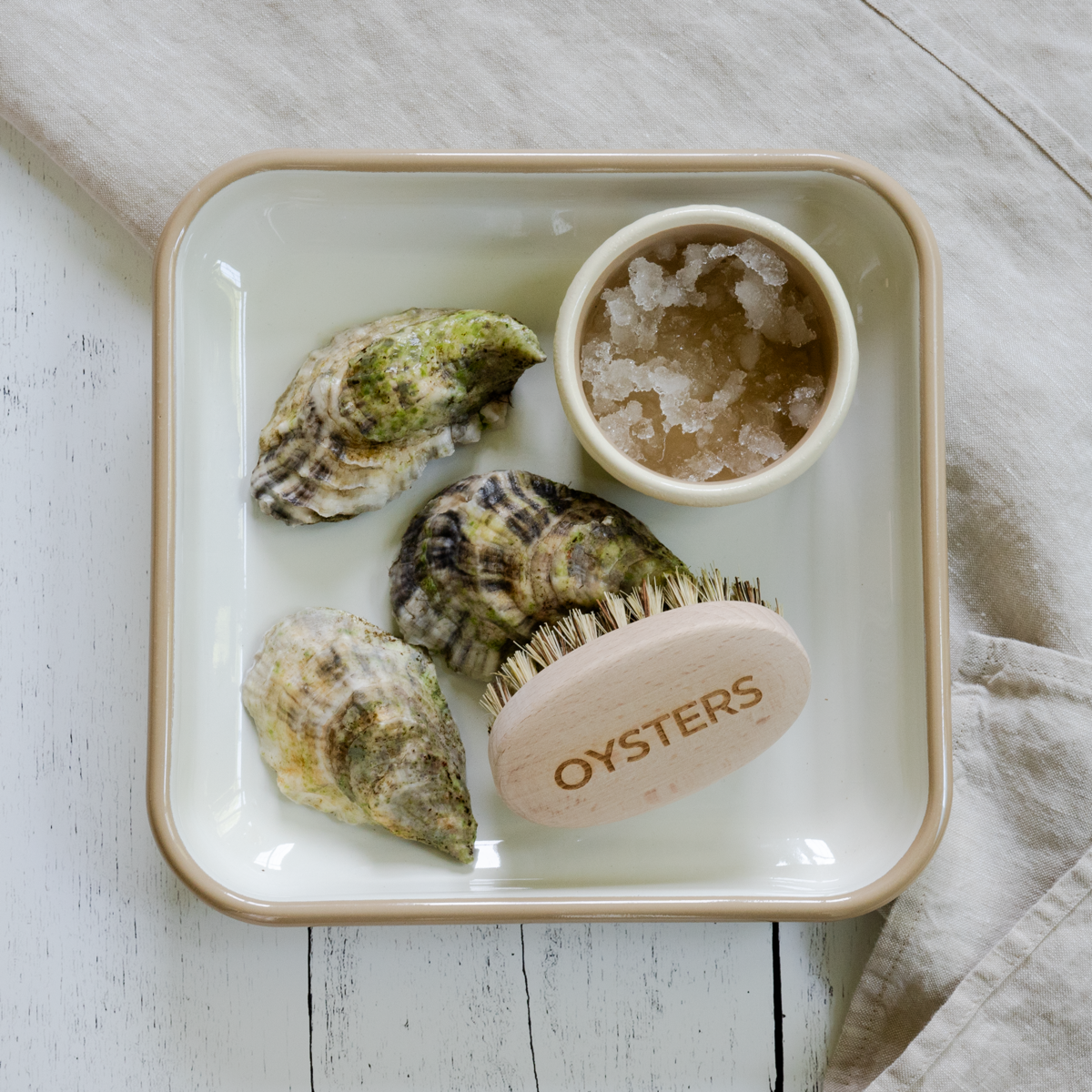 Oyster Brush - Earth & Nest