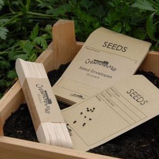 Seed Envelopes pk 20 - Earth & Nest